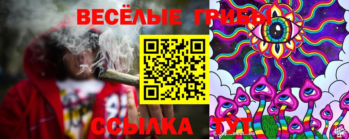 Галлюциногенные грибы MAGIC MUSHROOMS  Вход с VPN  Чернушка 