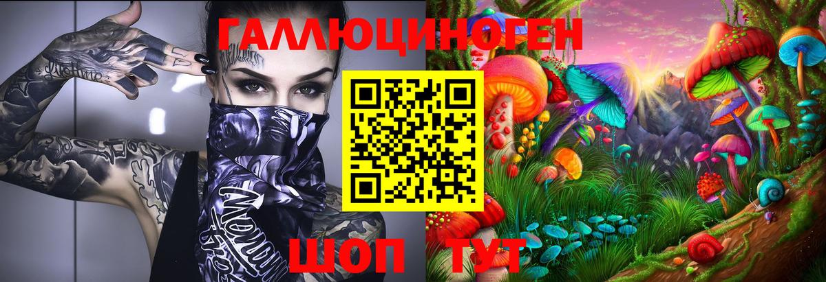 Псилоцибиновые грибы Magic Shrooms Чернушка